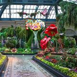 Bellagio Conservatory & Botanical Gardens