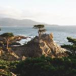 Monterey Bay