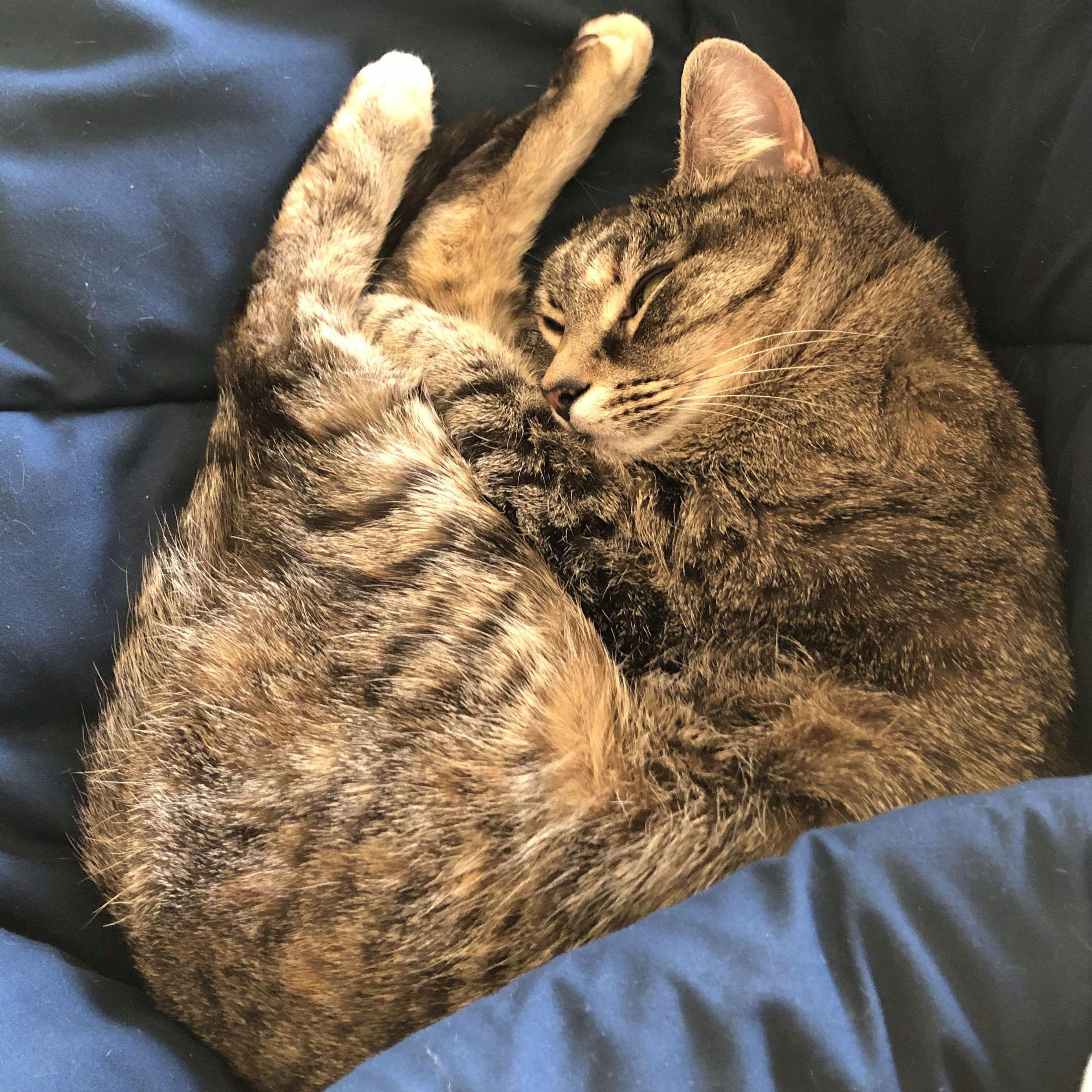 Don't you wish you could relax like this?