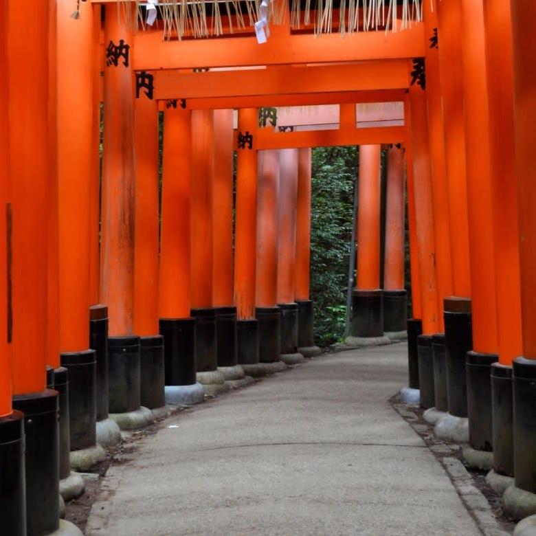 Honeymoon Fund to Japan