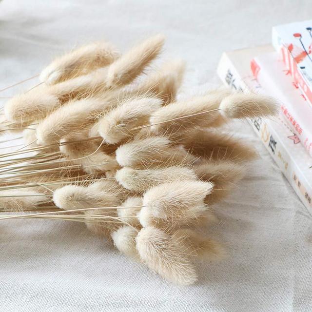 Beau Jour Natural Dried Lagurus ovatus 100 Pcs, Dried Pampas Grass Flower Arrangements Wedding Home Decor