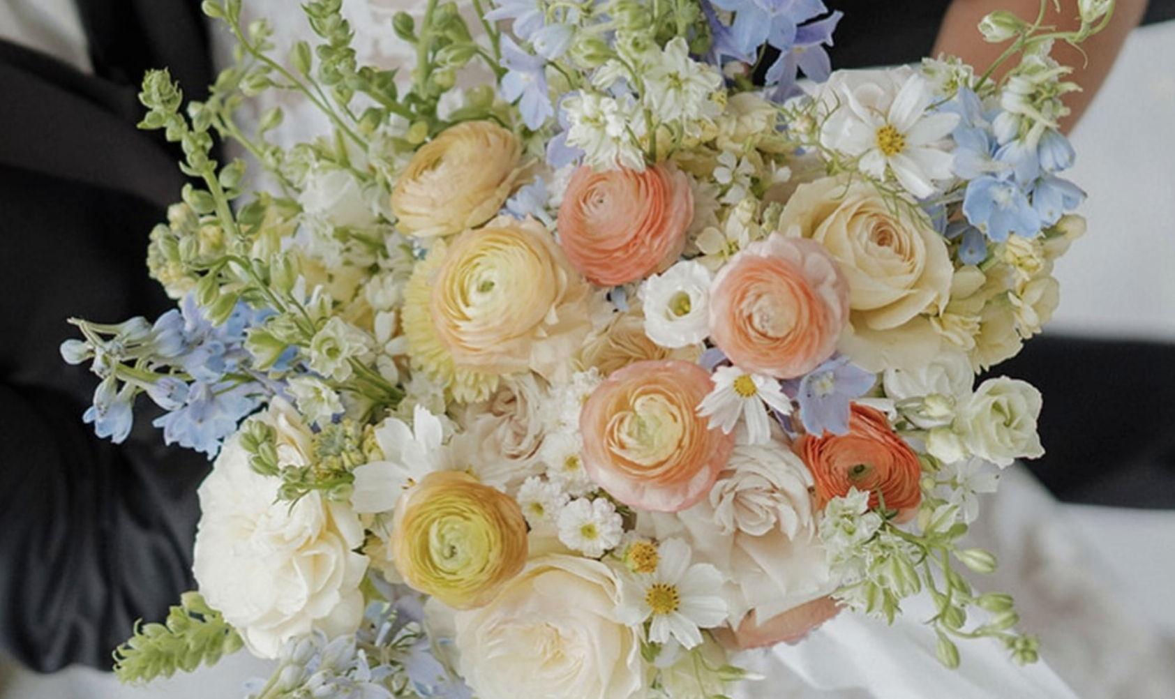 The Wedding Website of Jake Brophy and Tabitha Gentle