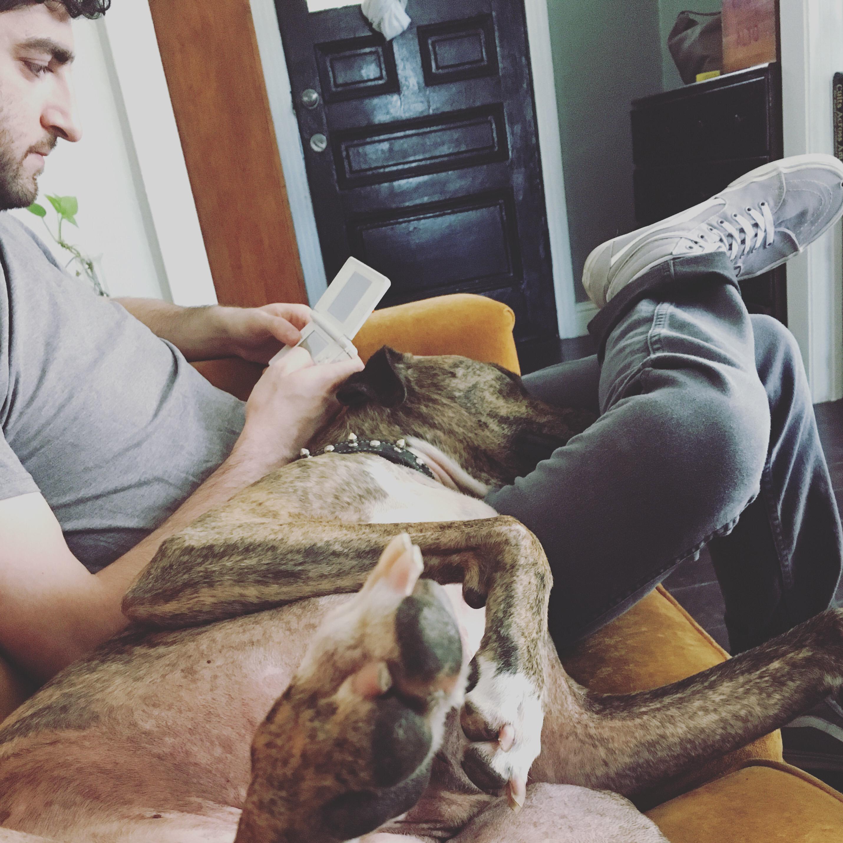 That time (every day) that Alex and Ari hung out on the couch