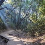 Castle Rock State Park
