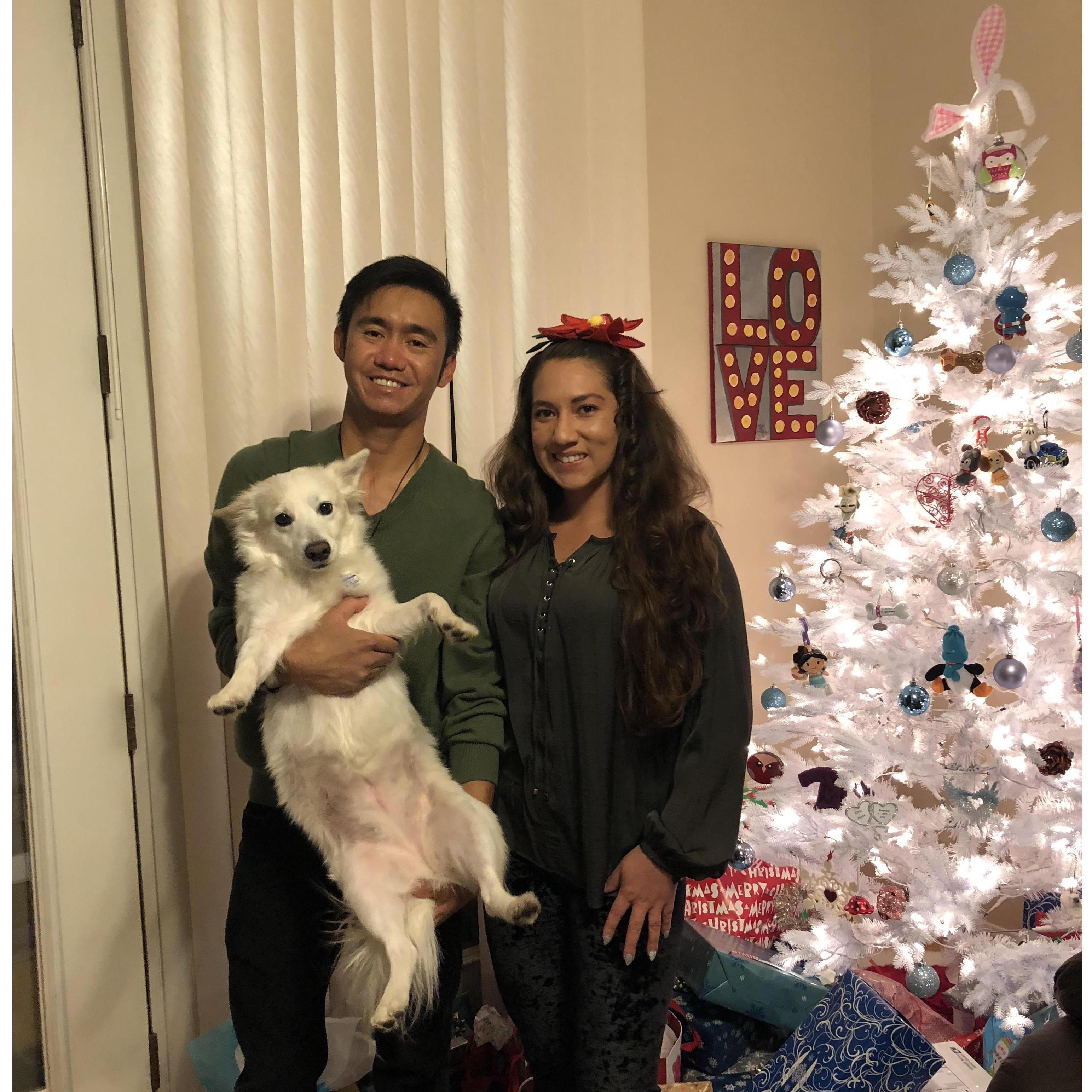 Our Last Christmas as a betrothed couple.