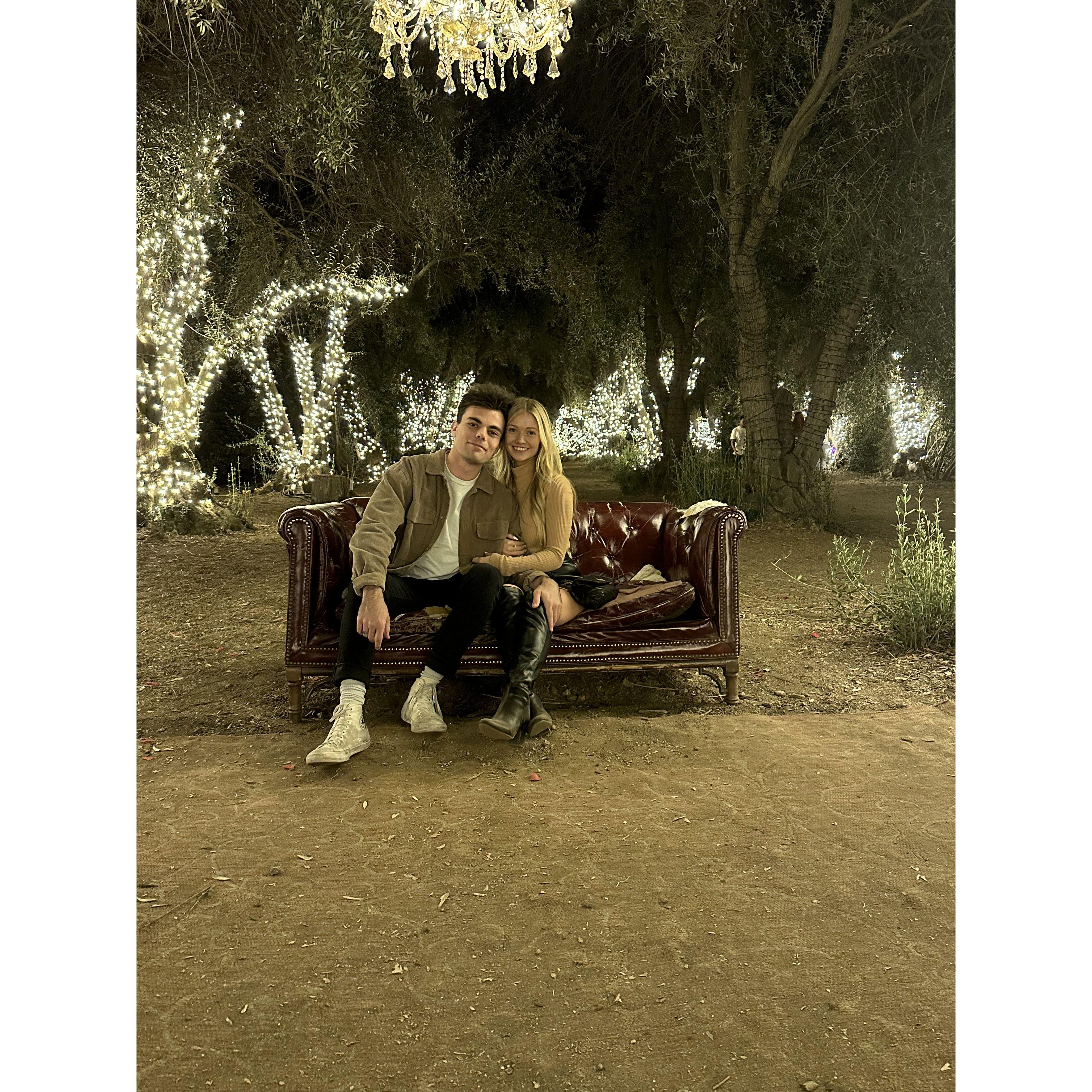 The Lavender Festival!