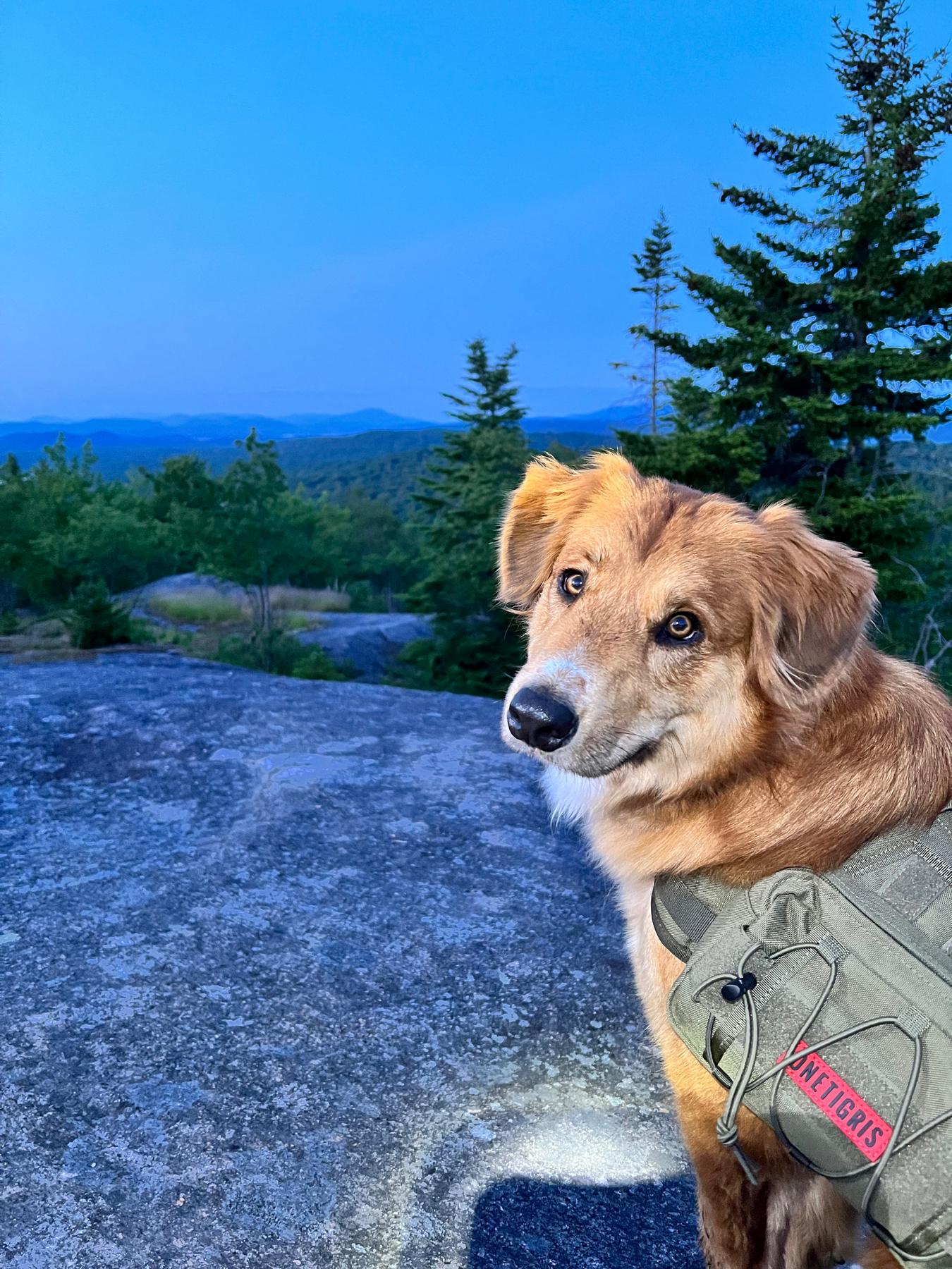Duke’s sunset hike at Black Bear Mountain!