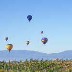 Temecula Hot Air Balloon Ride
