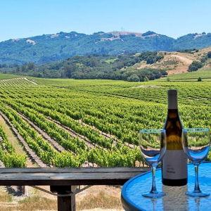 Sonoma and Calistoga Wine Trip
