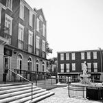 The Cotton District