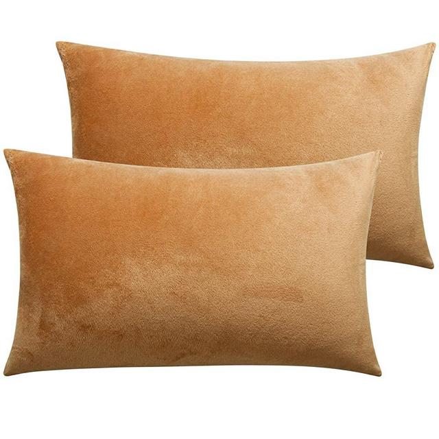 NTBAY Zippered Velvet Queen Pillowcases, 2 Pack Super Soft and Cozy Luxury Solid Color Pillow Cases, 20 x 30 Inches, Camel