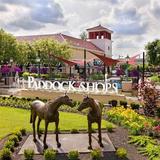 Paddock Shops