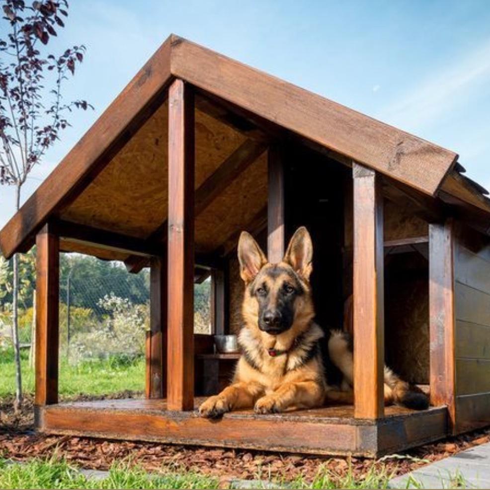 Home Down Payment