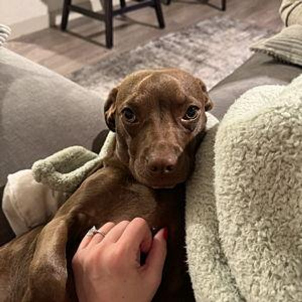 First Home Fund!