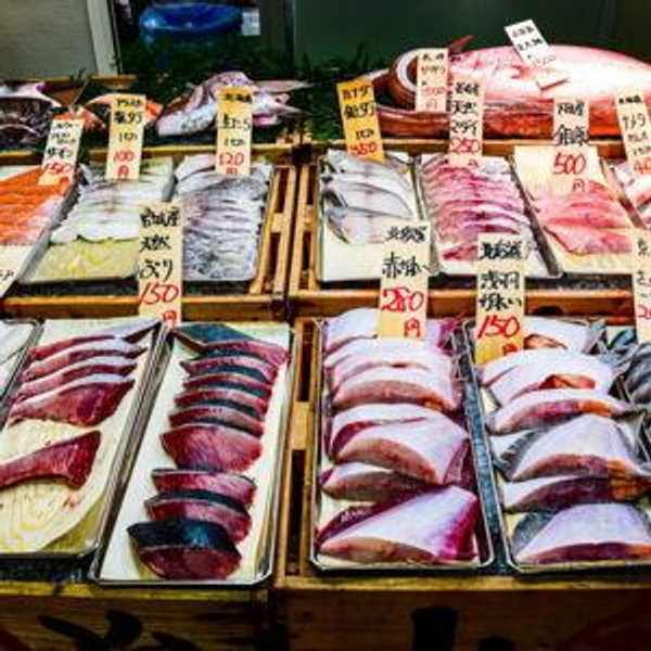 Honeymoon Experience - Tsukiji Market Experience