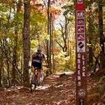 Bent Creek trailhead