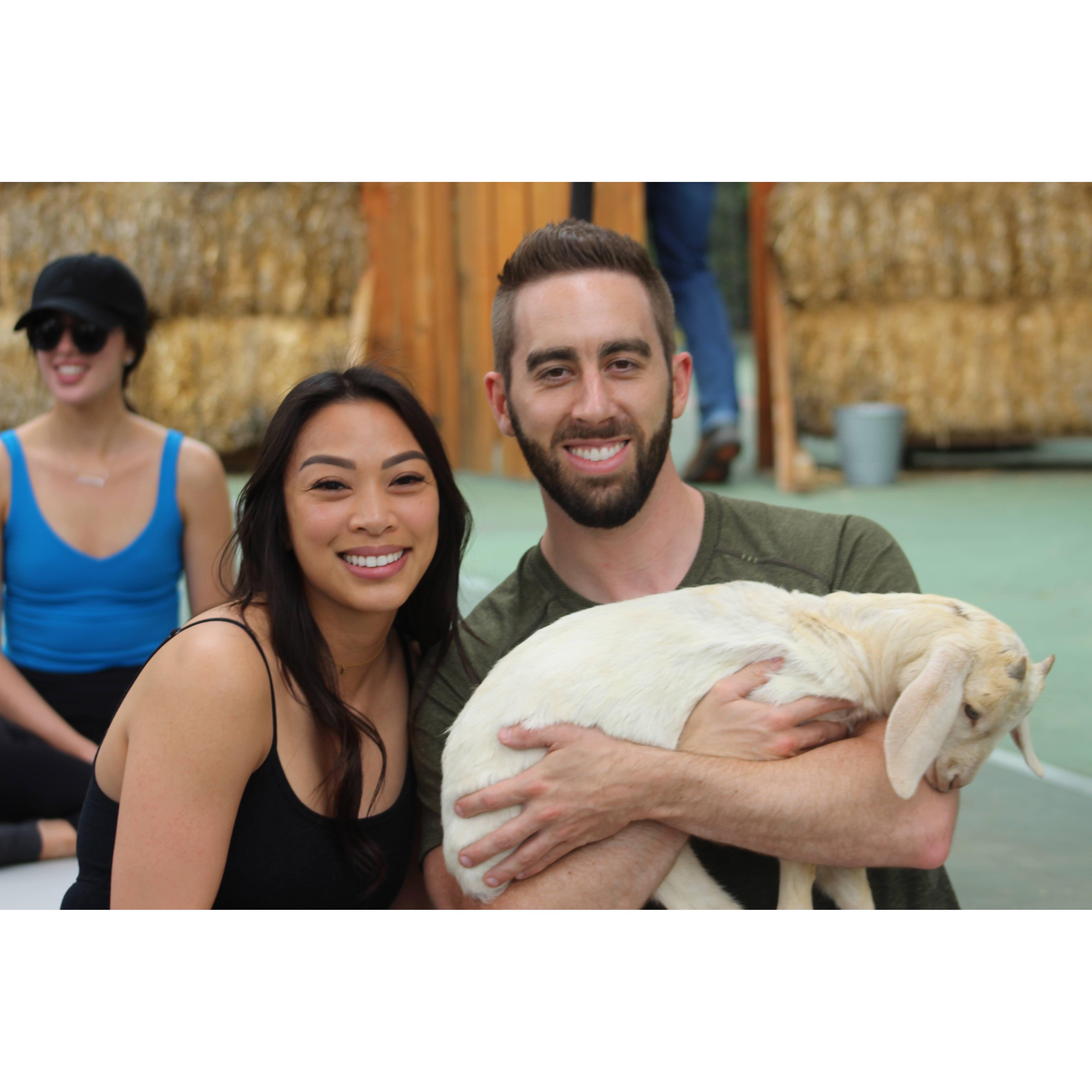 Goat Yoga in Encinitas, CA