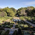 Fort Worth Botanic Garden