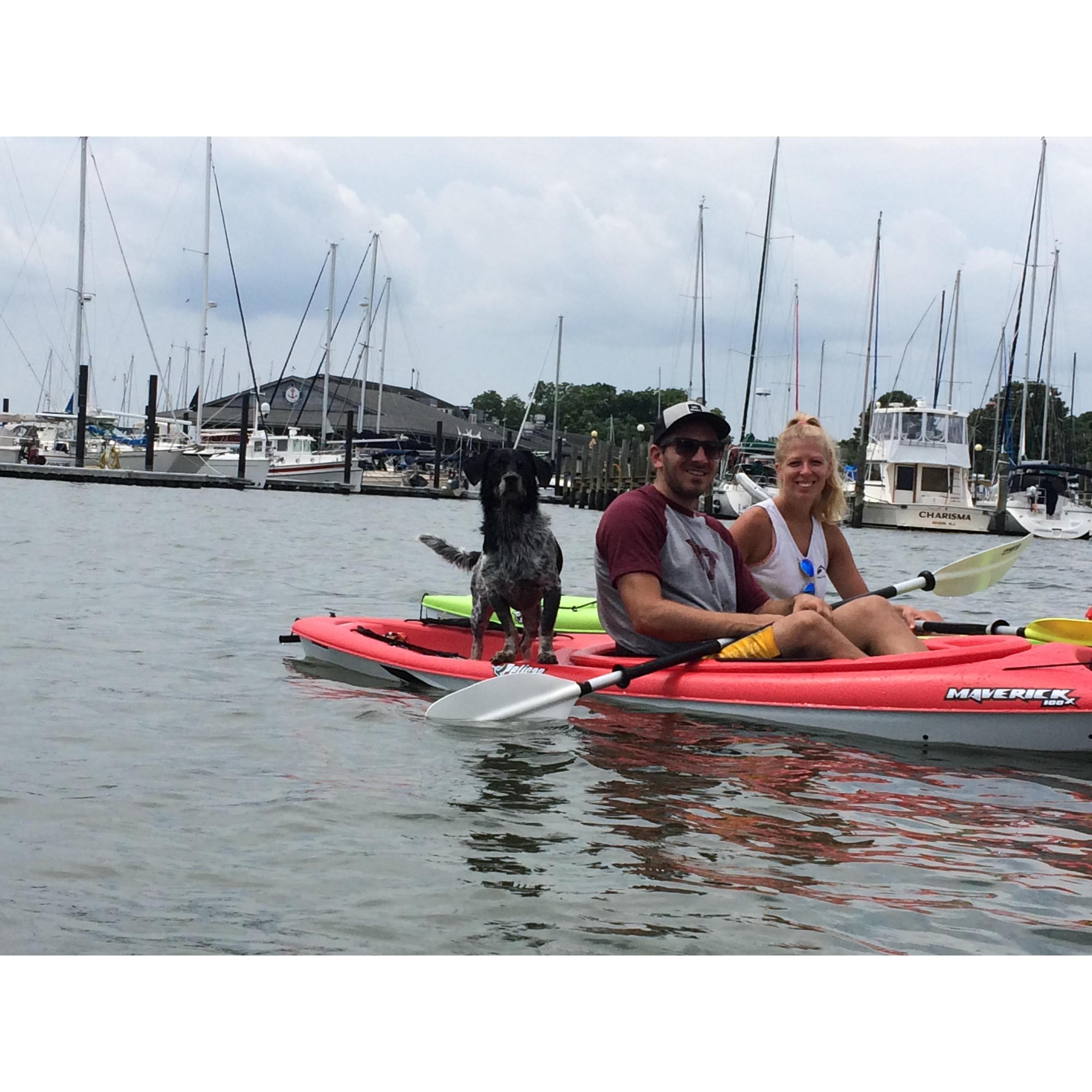 Kayaking in Gloucester Point