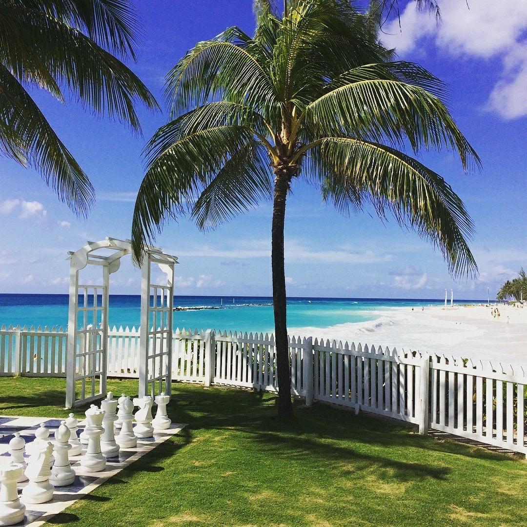 Where we will say “I do!” minus the chess board!