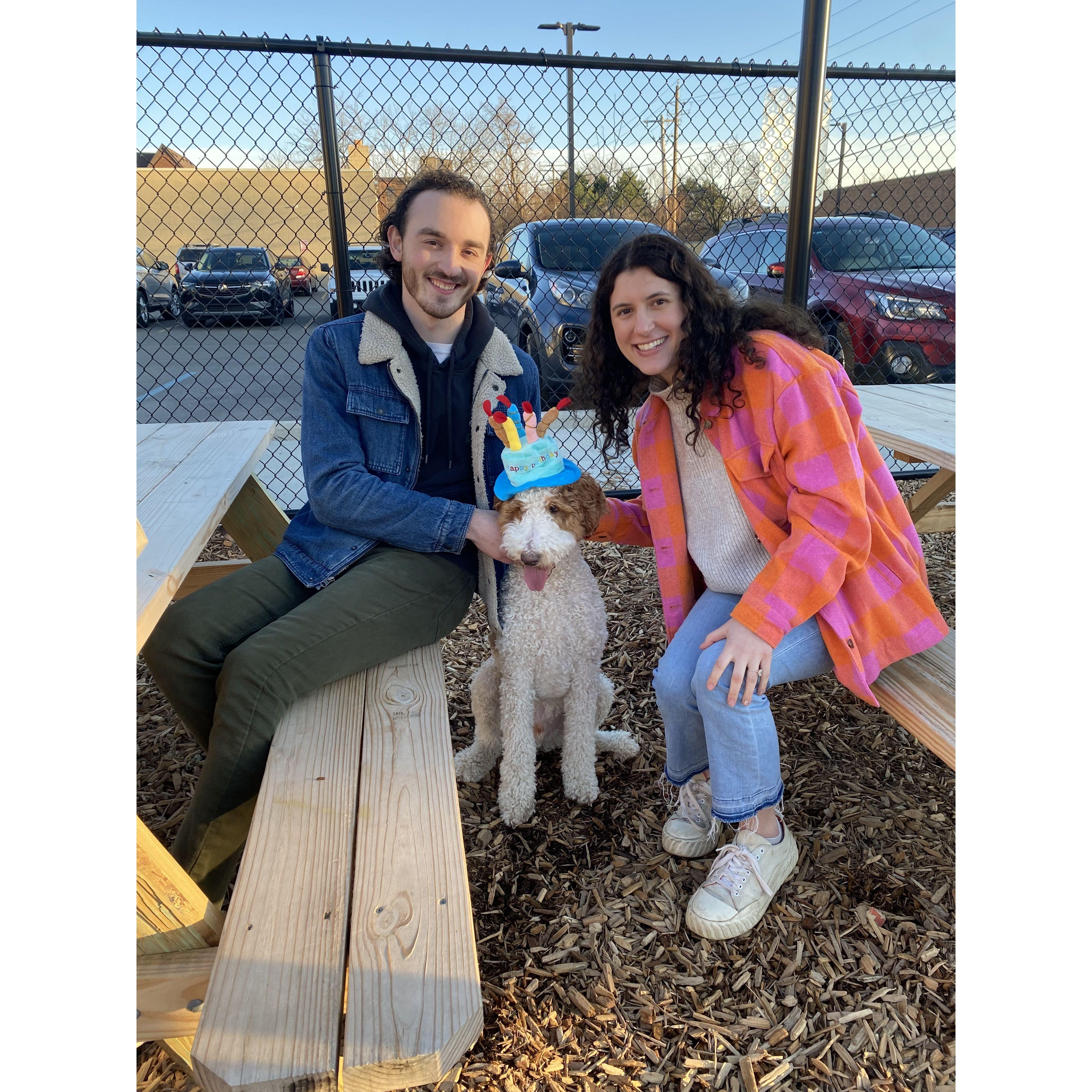 Maurice's first birthday pawty at Barkside with his besties Levi and Paisley!