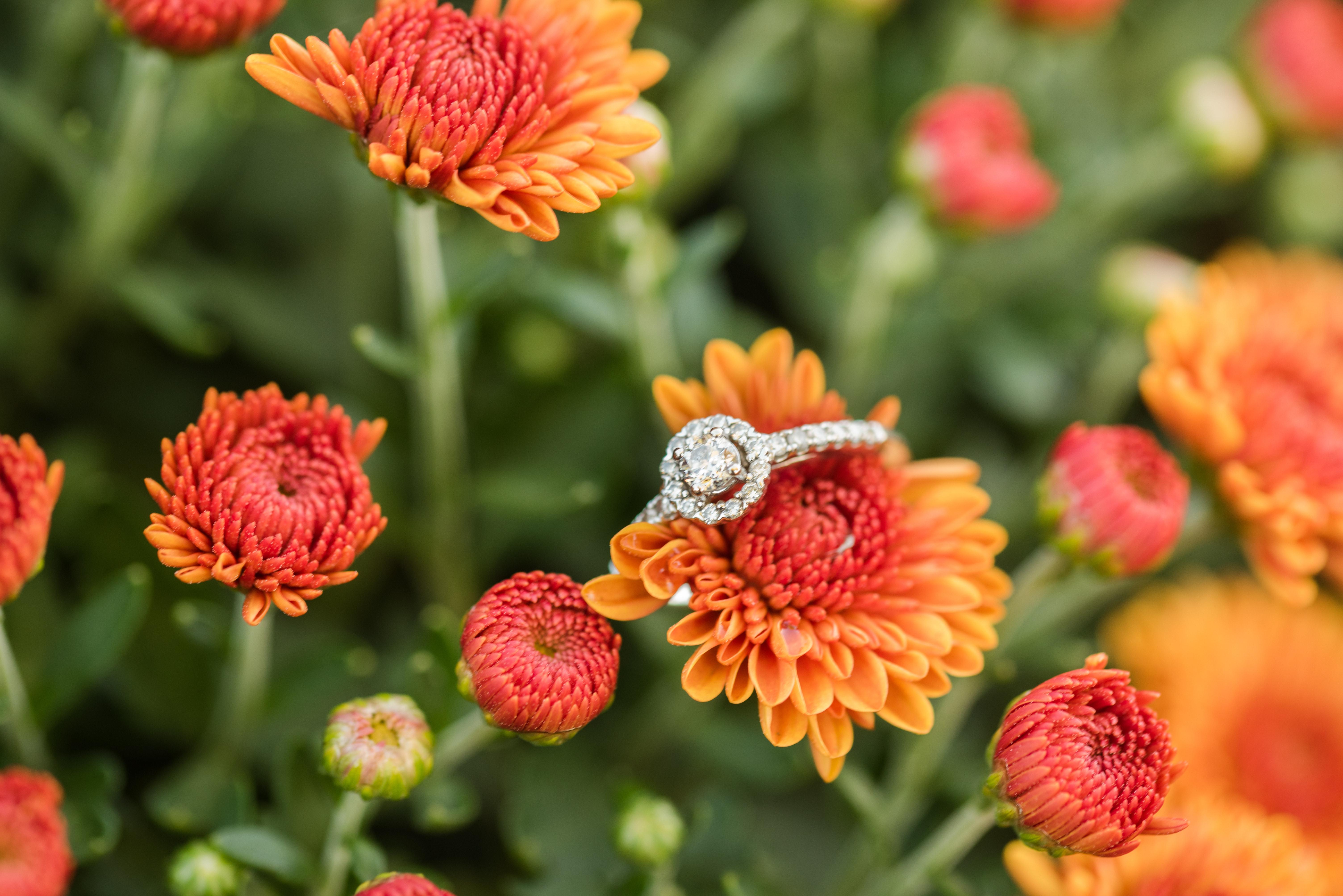 The Wedding Website of Amy Trowbridge and Michael Hays