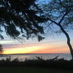 Clinch Park