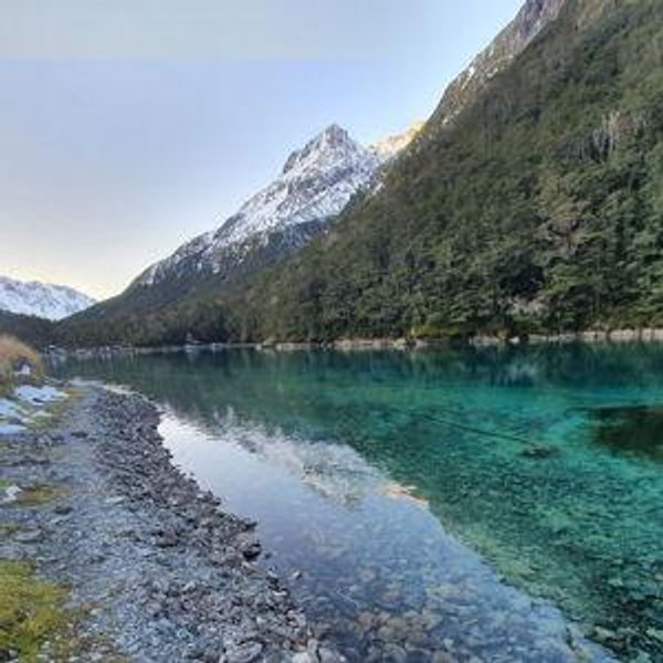 New Zealand Honeymoon