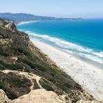 Torrey Pines State Reserve