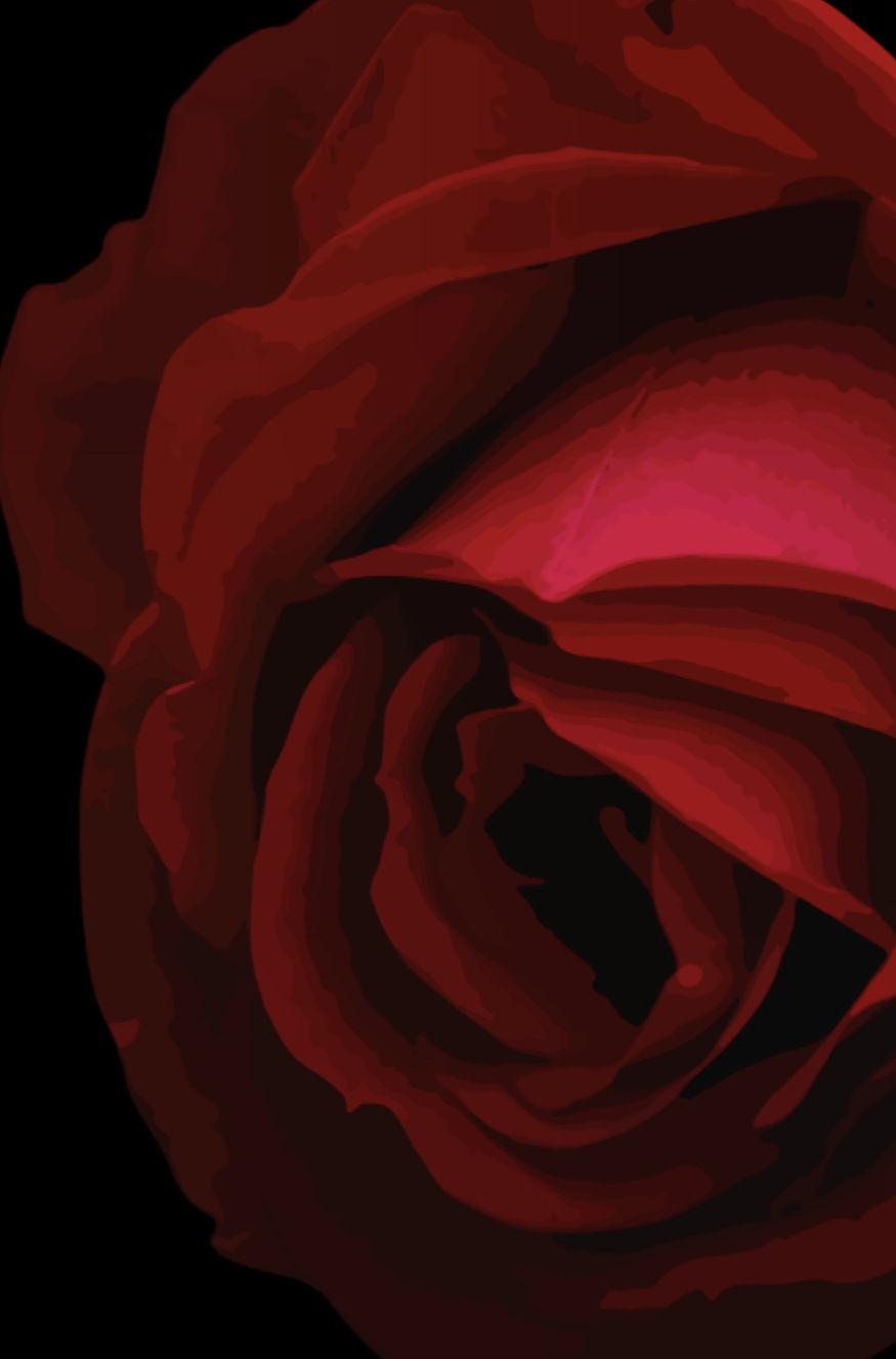 The Wedding Website of Darween Fleury and Carl Edouard