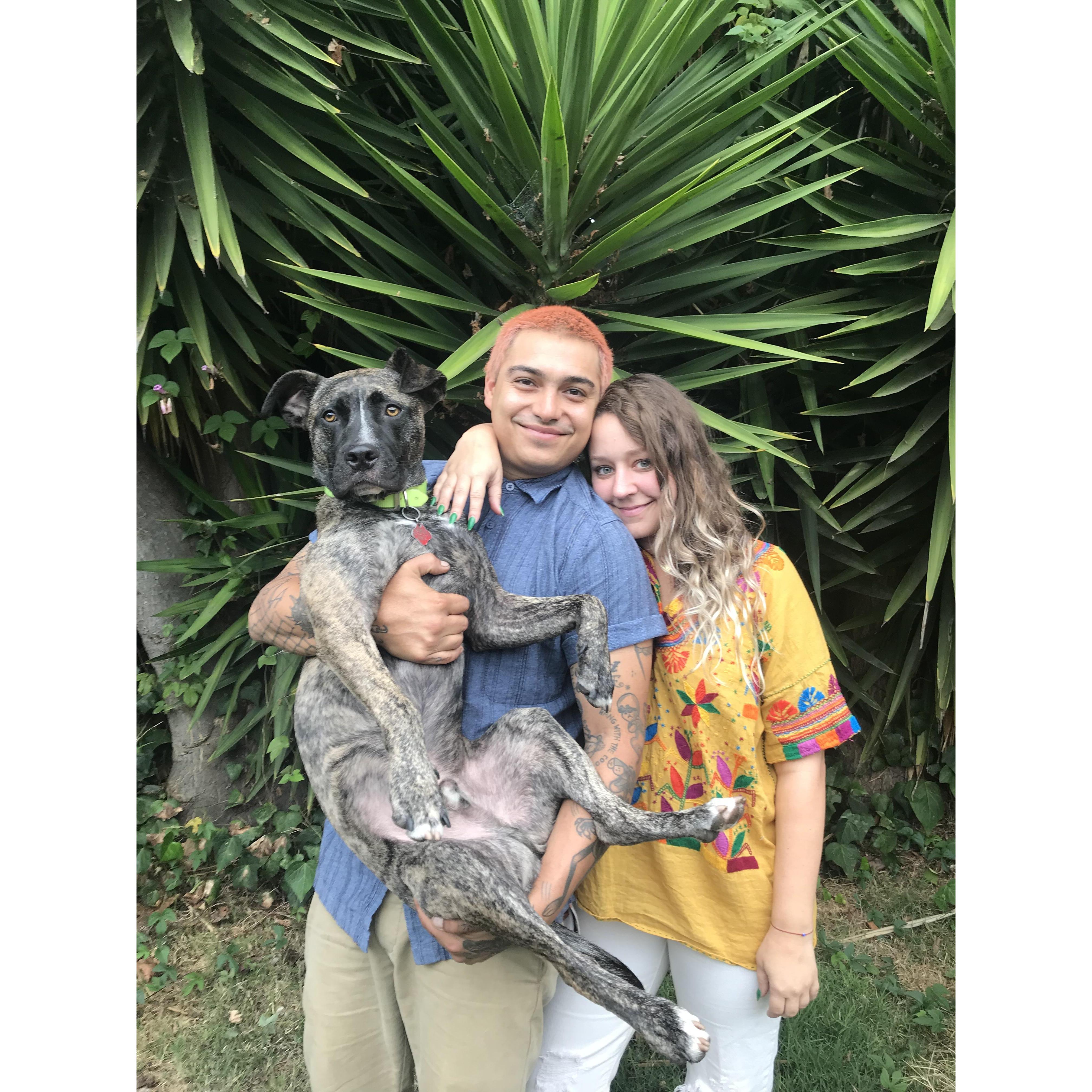 Thanksgiving 2017 in Oakland, CA - the sunset that day was the color of Diego’s hair