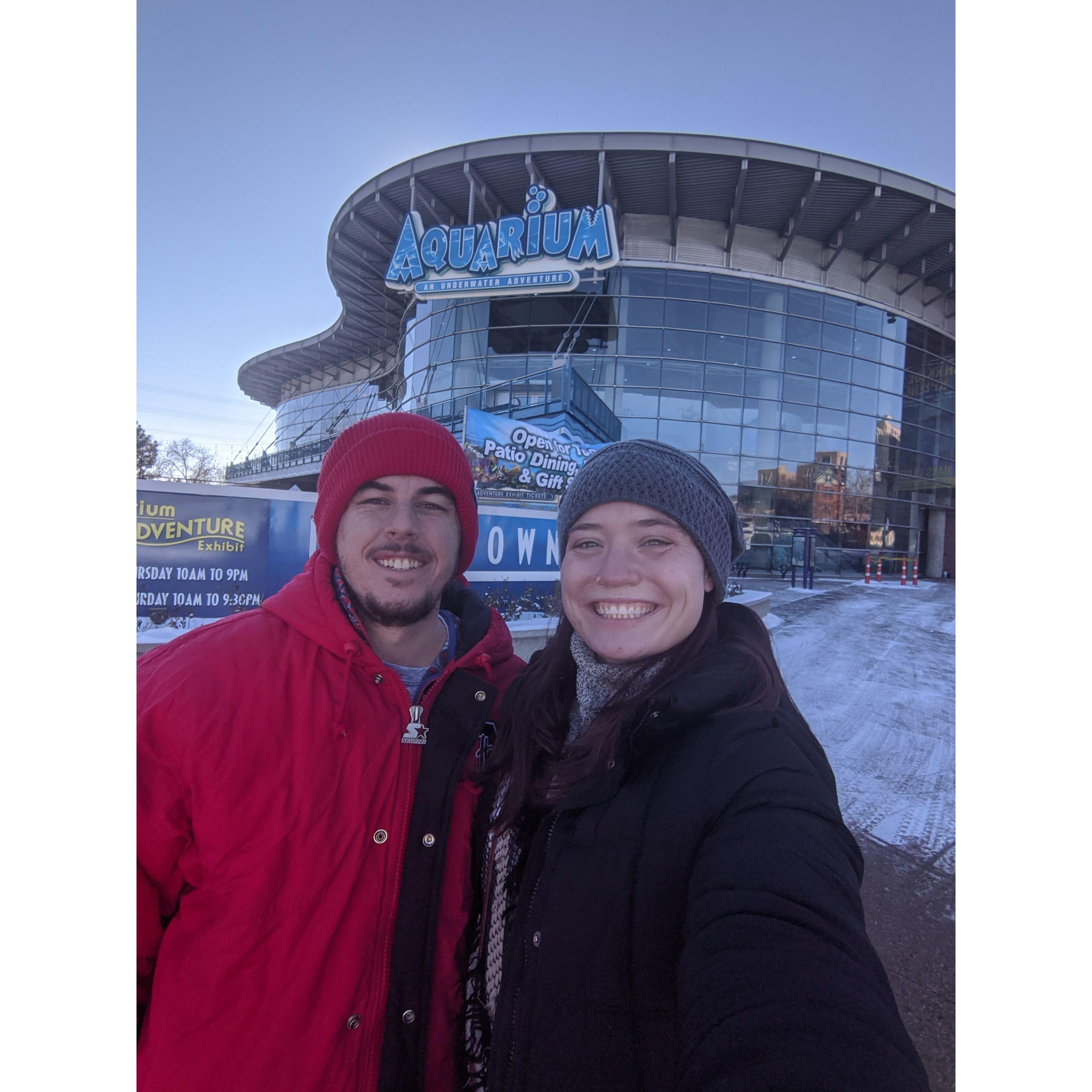 Outside the Denver Aquarium (2020)