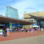 New England Aquarium