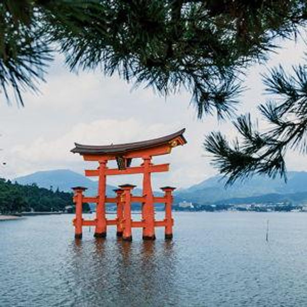 Japan Honeymoon Fund (Venmo)