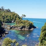 Stewart Island / Rakiura - 3+ days
