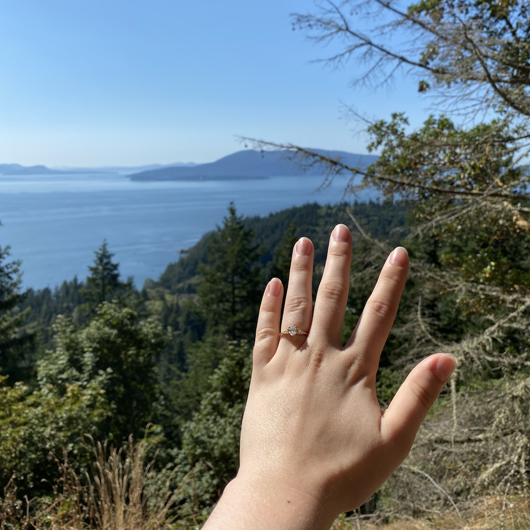 After getting to the hike's viewpoint, I turned around to find Trystin on one knee. He didn't even have a chance to say anything before I blurted, "of course I will, yes!"
August 2020