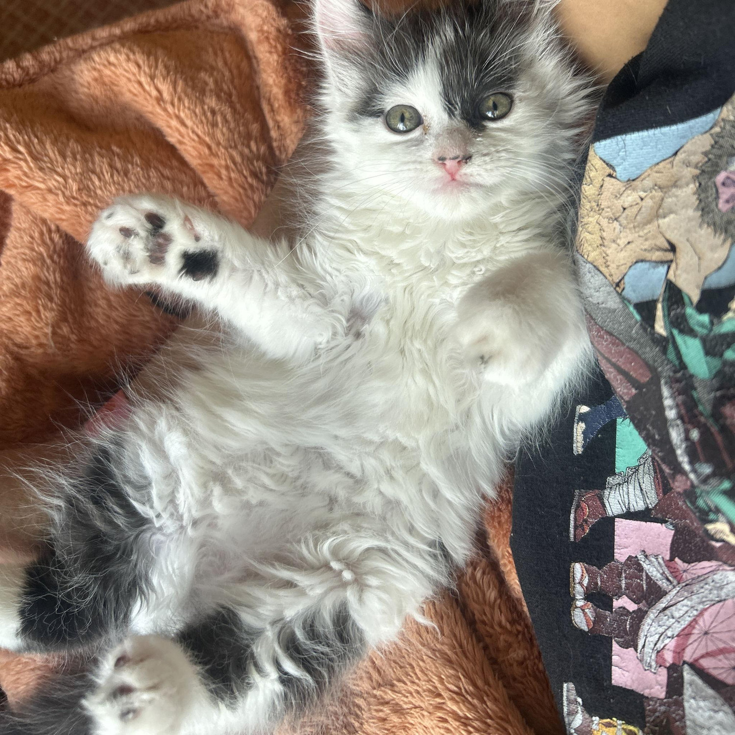 Milo