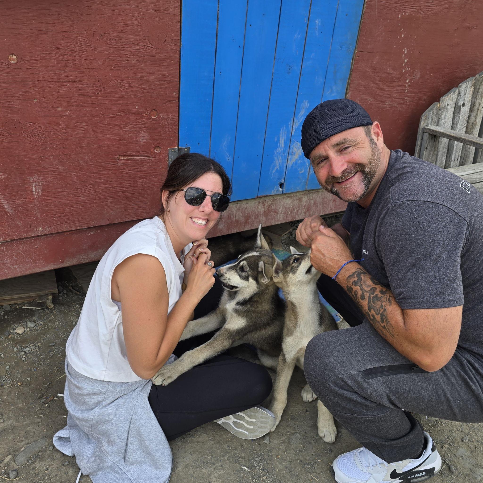 Got to visit a sled dog puppy training camp