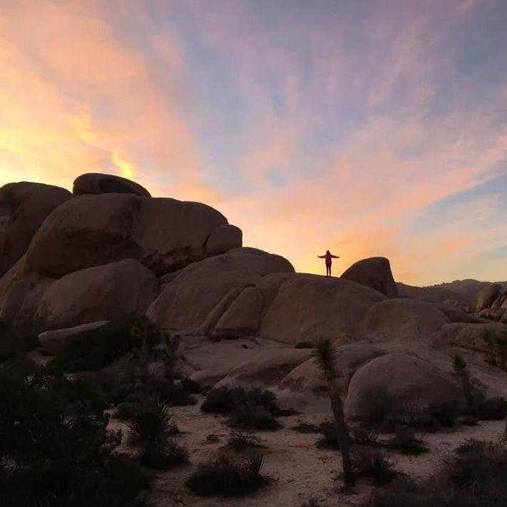Joshua Tree, December 2016.