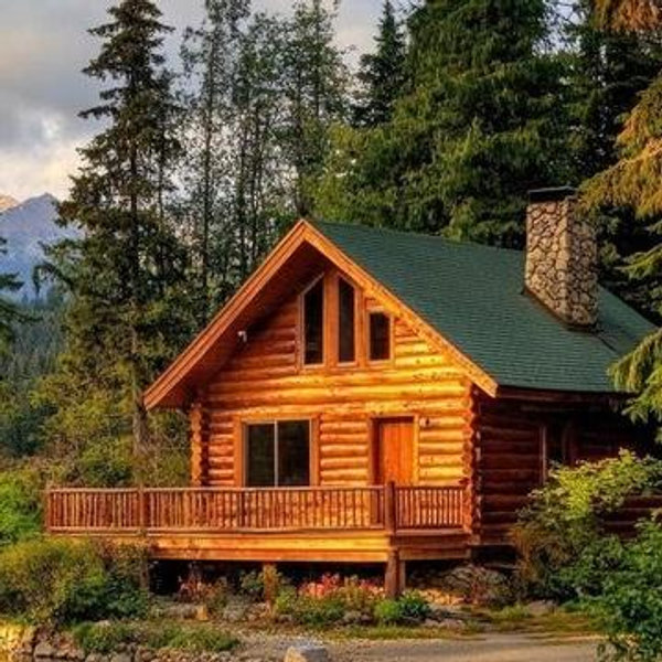Cabin Getaway Post-Wedding