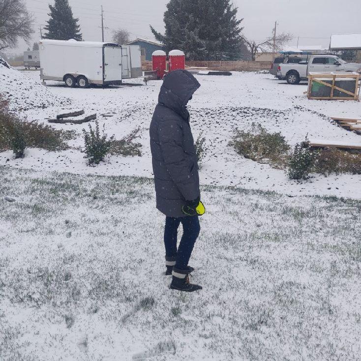 The first snow in Montana. (October 10, 2020)