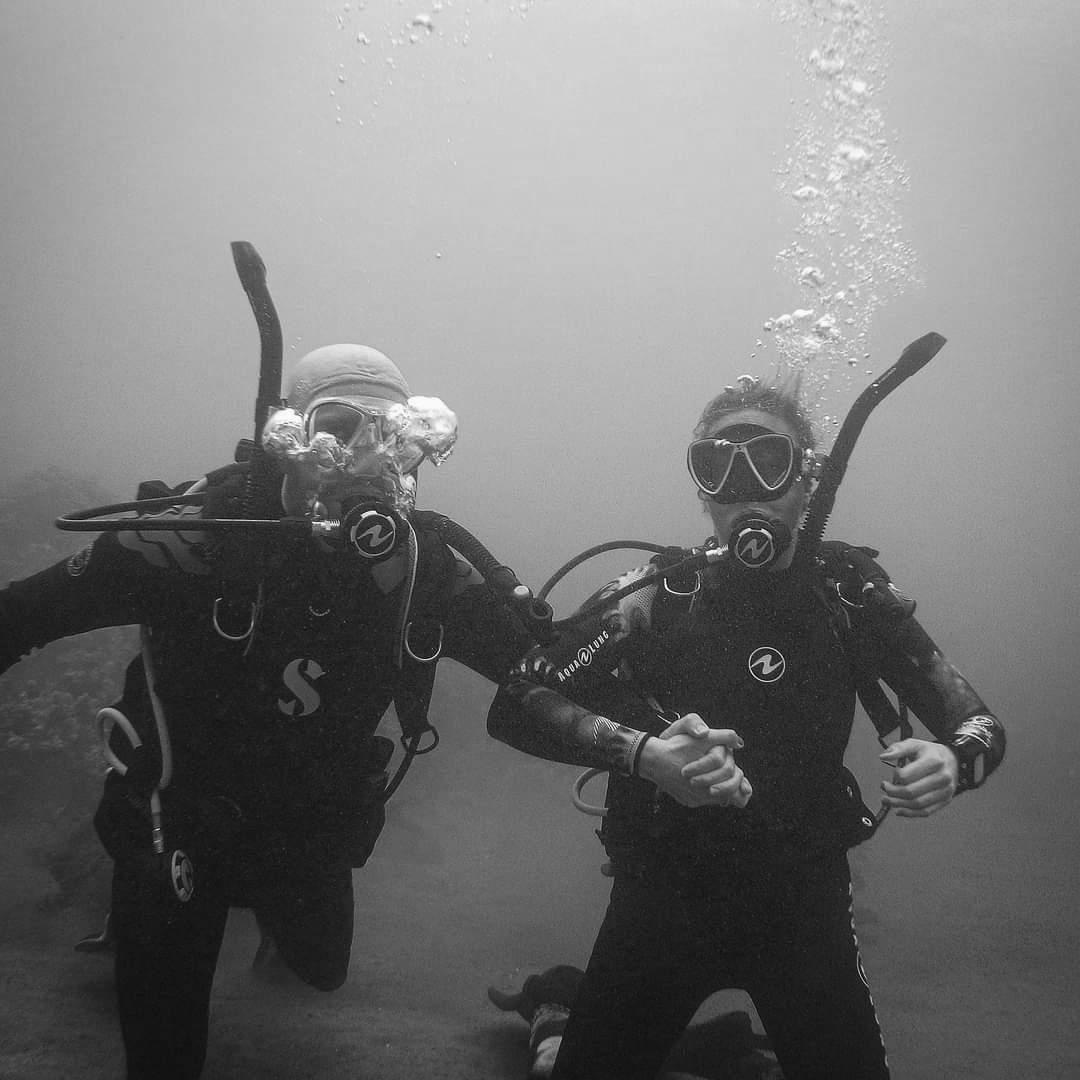 Diving with the whales in Maui