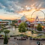 The Island Pigeon Forge
