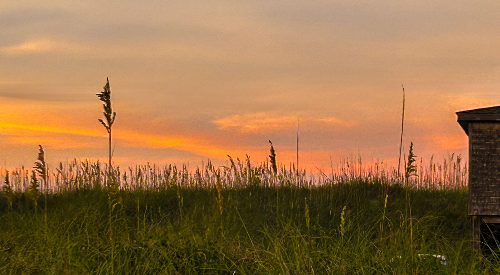 The Wedding Website of Danielle Kearns and Trey Steele