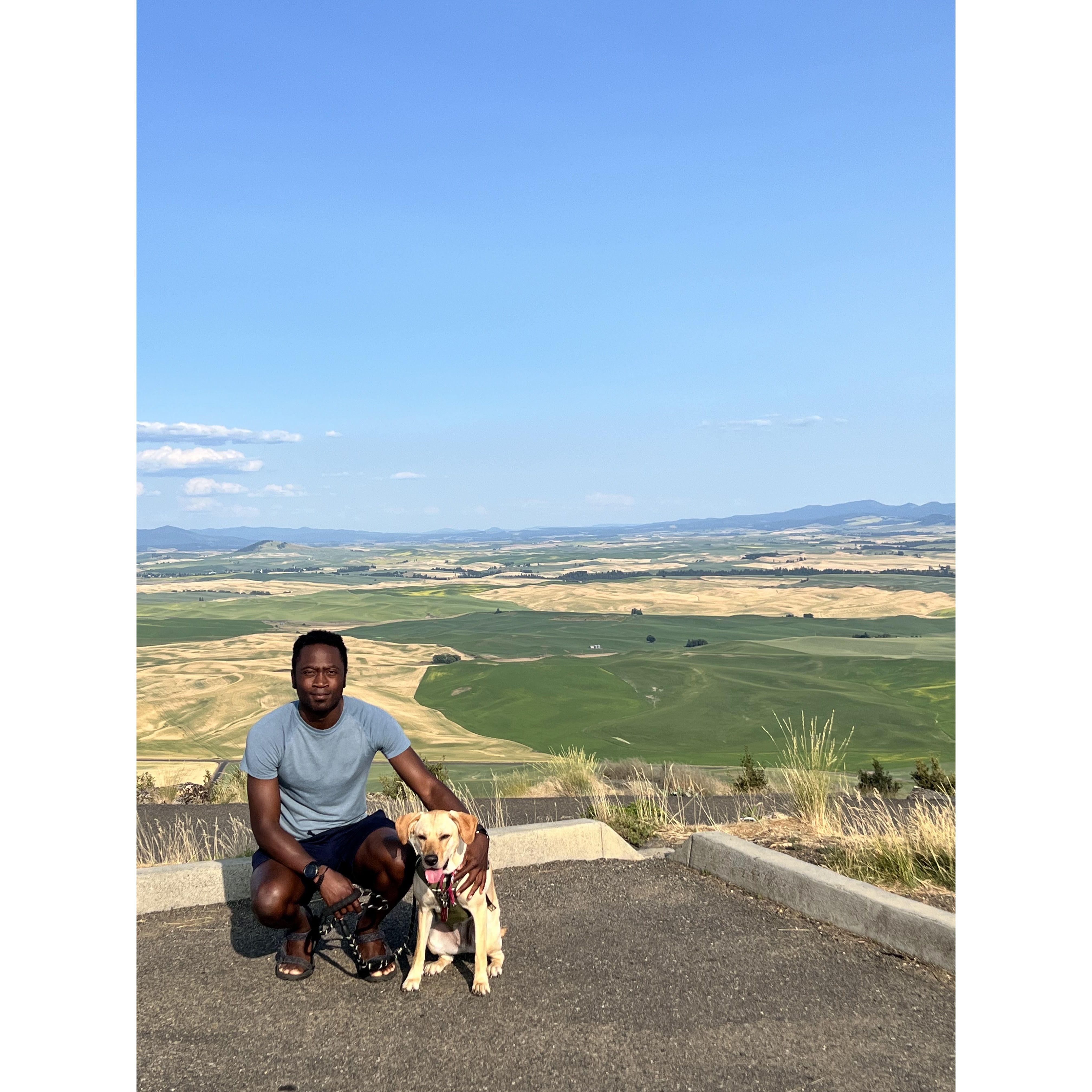 Turns out climbing Steptoe Butte is tougher than we thought on a 100 degree day. Kev has given Abby a whole new appreciation for the beauty of the Palouse. It's good to see familiar things through new eyes.
