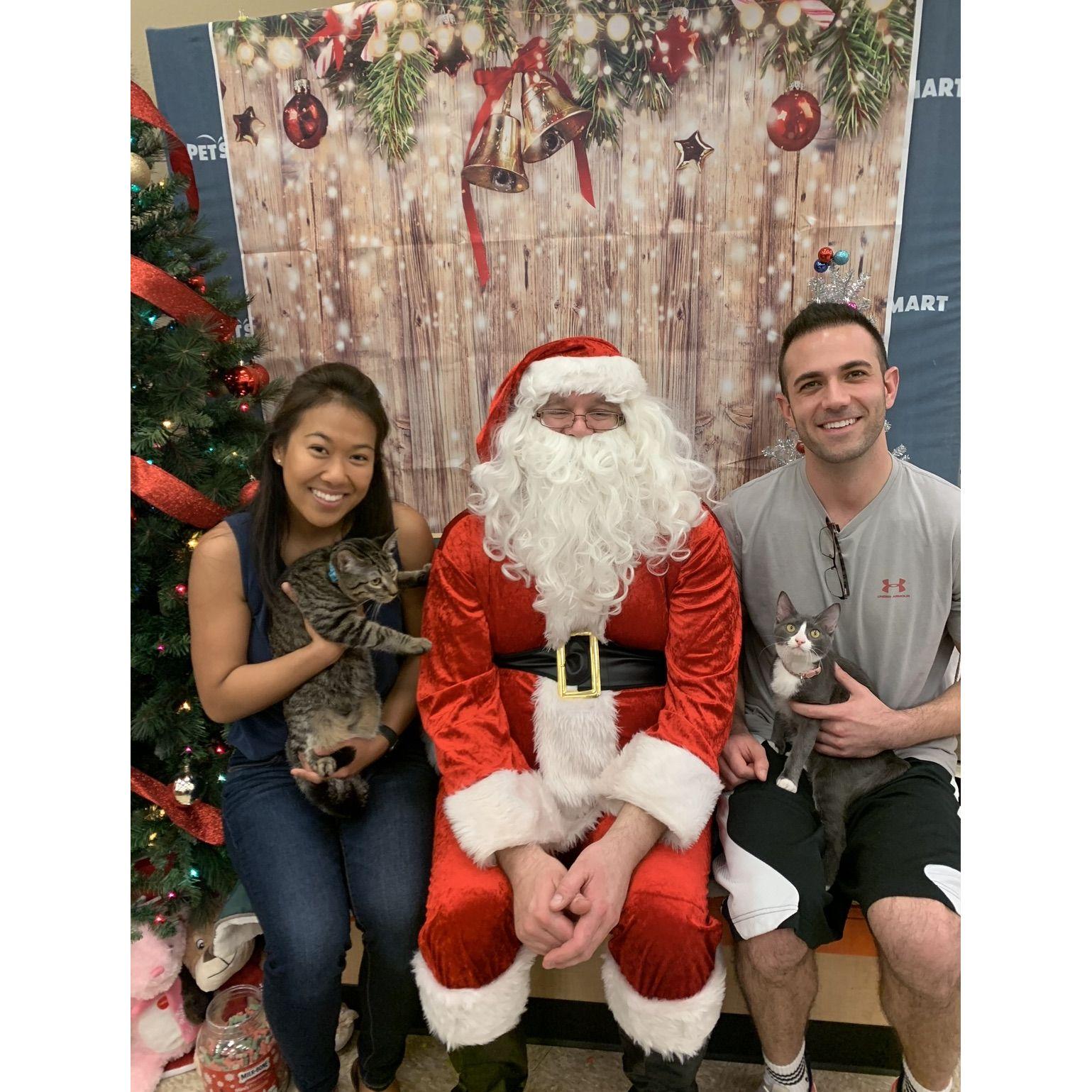 A picture of us and the Cats with Santa