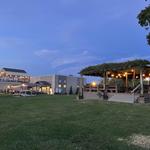 Alto Vineyards