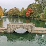 Yoctangee Park