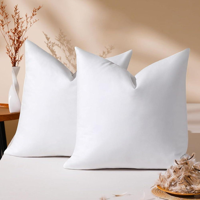 DOWNSTORIA 24x24 Euro Pillow Inserts Pack of 2, Natural Feather Down Pillows with 100% Cotton Cover,Throw Pillow for Bed, Couch and Sofa.