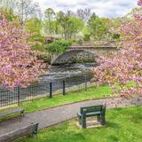 Garden on the Bridge